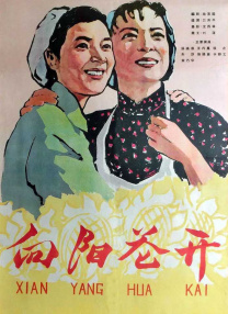 完美性爱导演